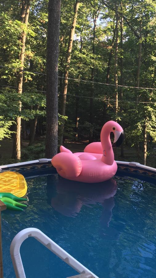 Pocono Cabin With Private Pool At Shawnee Mtn East Stroudsburg Bagian luar foto